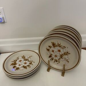 Set of 11 Mountain Wood Collection Dried Flowers Stoneware 10 1/2"Dinner plates